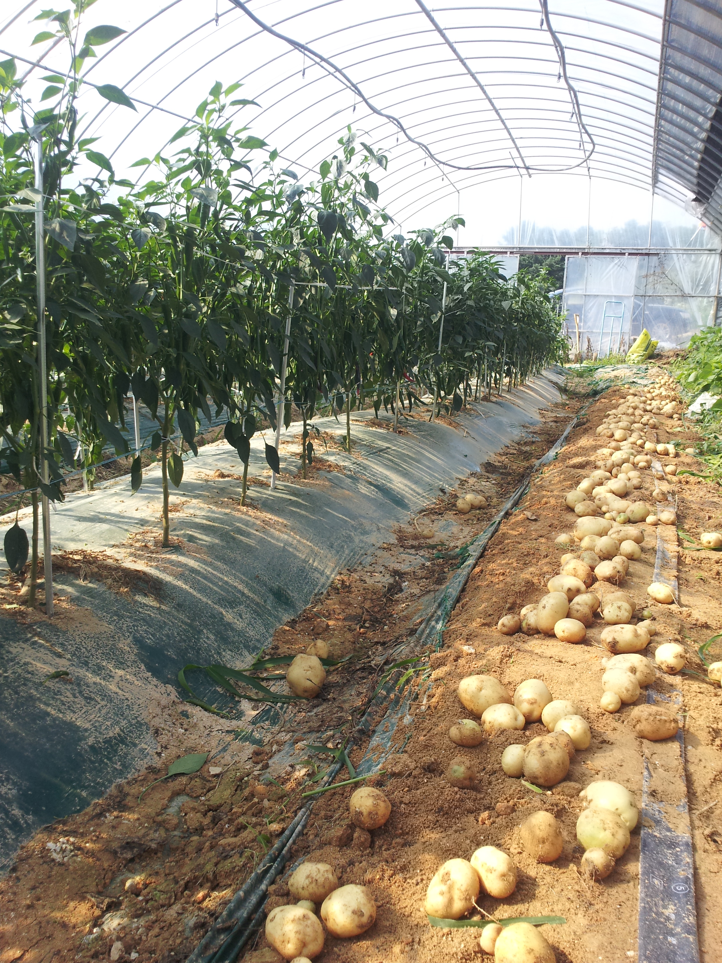 20130710_084702.jpg