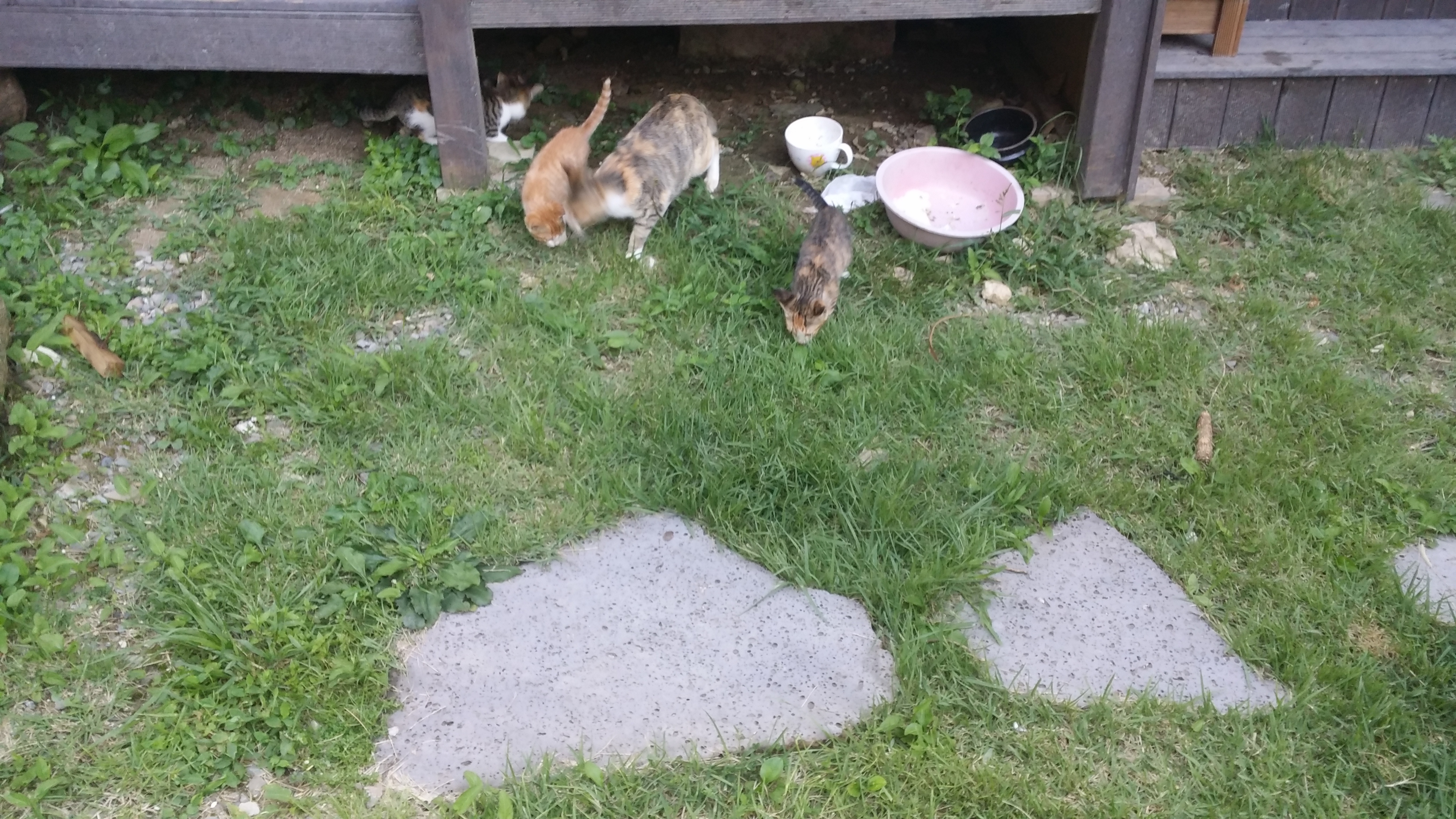20130831_181022[1].jpg
