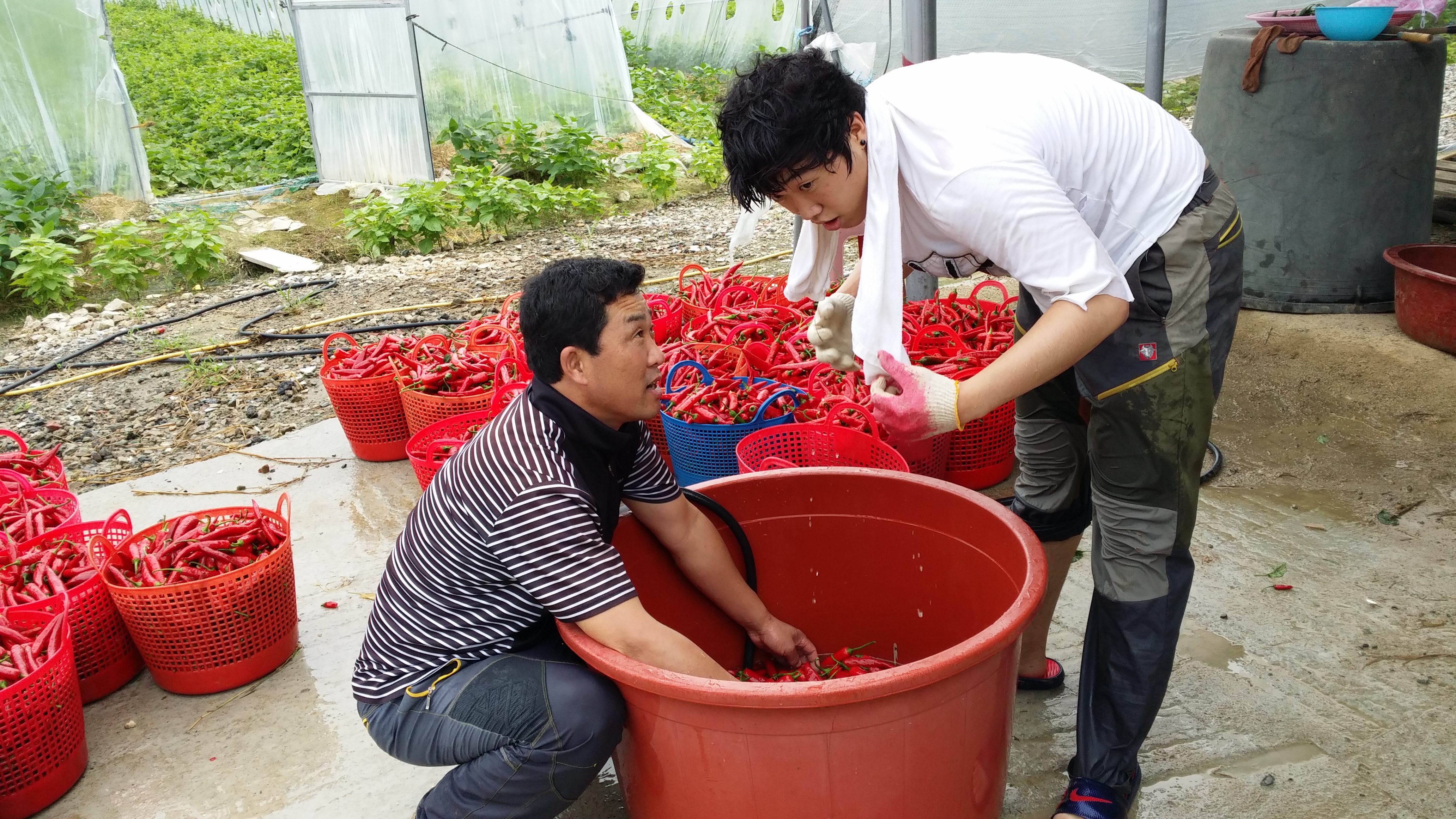 20130731_085755[1].jpg